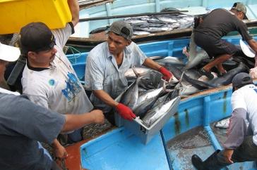 men unloading fish in a boat